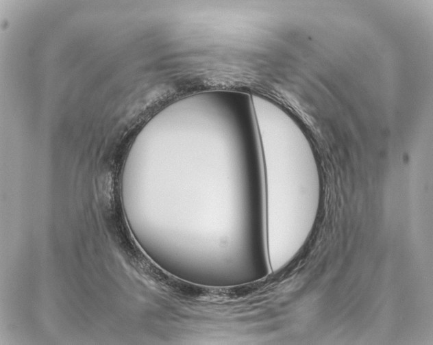 X0000086890211200704161014