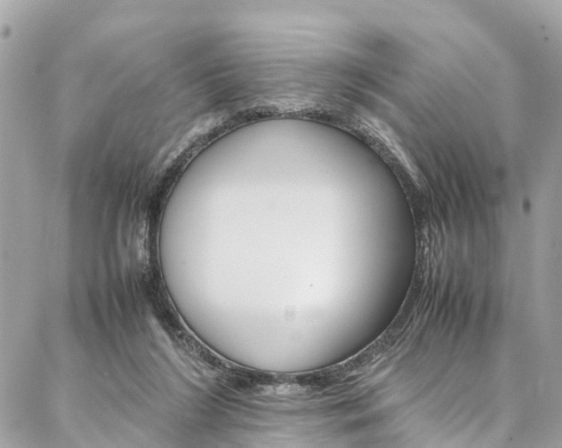 X0000086890212200704161014