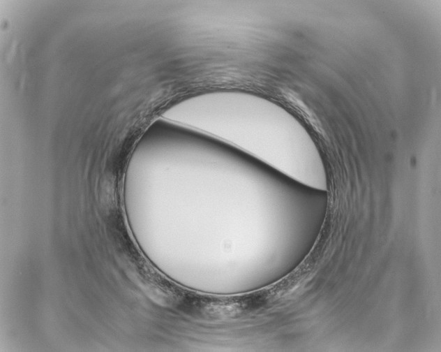 X0000086890213200704161014