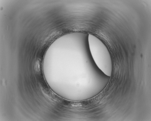 X0000086890214200704161014