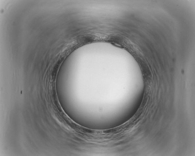 X0000086890215200704161014