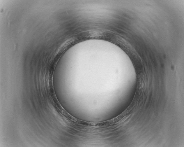 X0000086890216200704161014