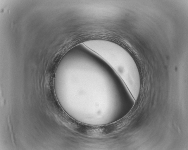 X0000086890217200704161014