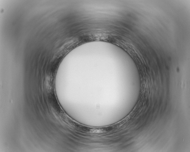 X0000086890218200704161014