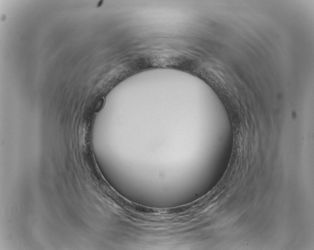 X0000086890219200704161014