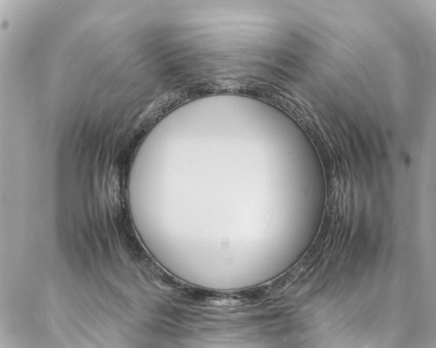 X0000086890220200704161014