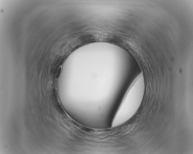 X0000086890221200704161014