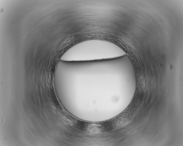 X0000086890222200704161014