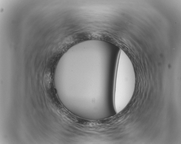 X0000086890223200704161014