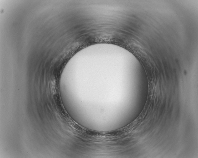 X0000086890224200704161014