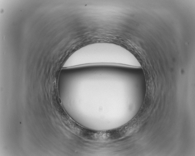 X0000086890225200704161014