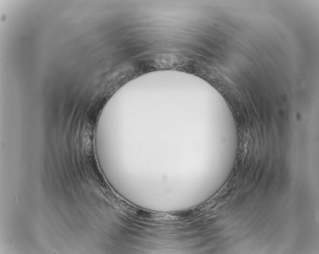 X0000086890226200704161014