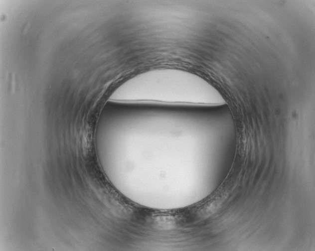 X0000086890228200704161014