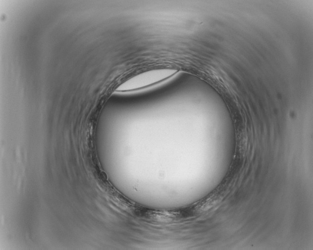 X0000086890229200704161014