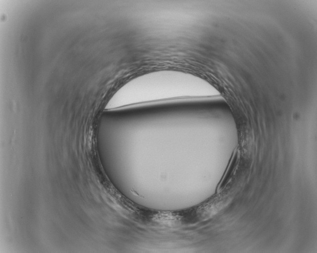 X0000086890231200704161014