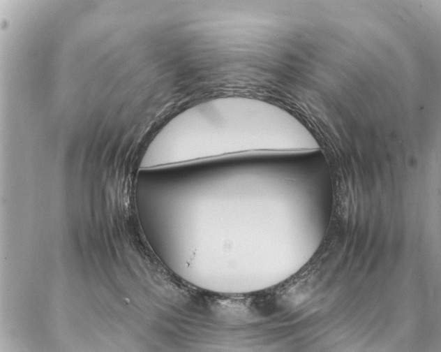 X0000086890232200704161014