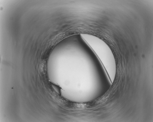 X0000086890233200704161014