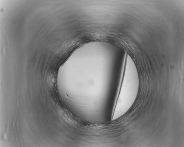 X0000086890235200704161014