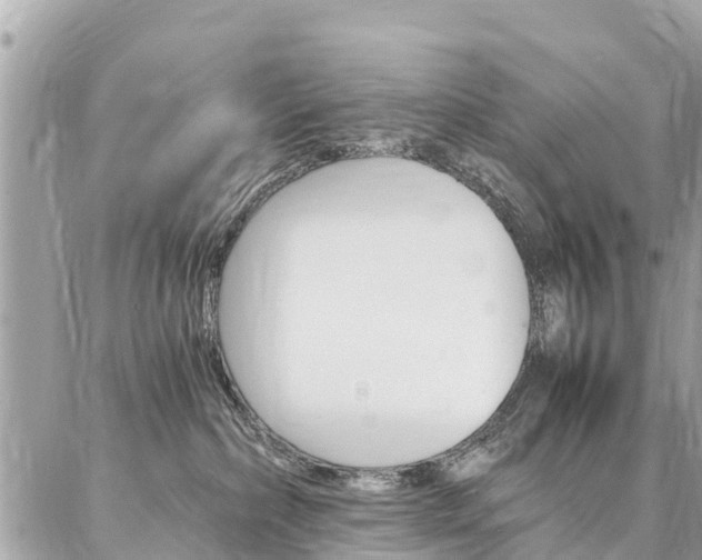 X0000086890236200704161014