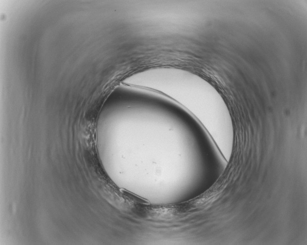 X0000086890237200704161014