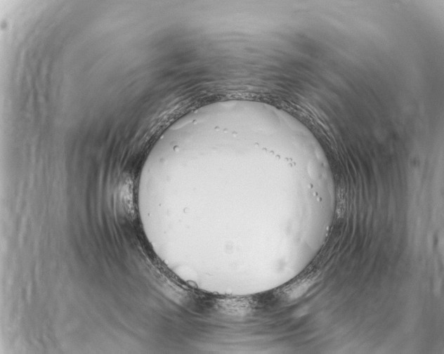 X0000086890238200704161014