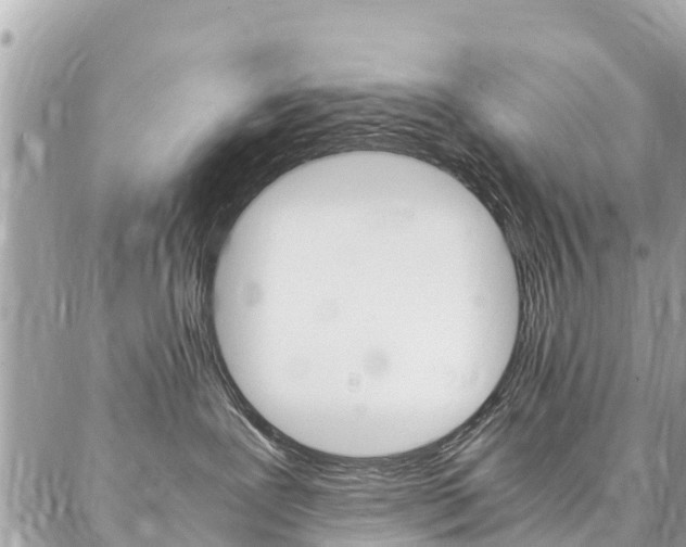 X0000086890239200704161014