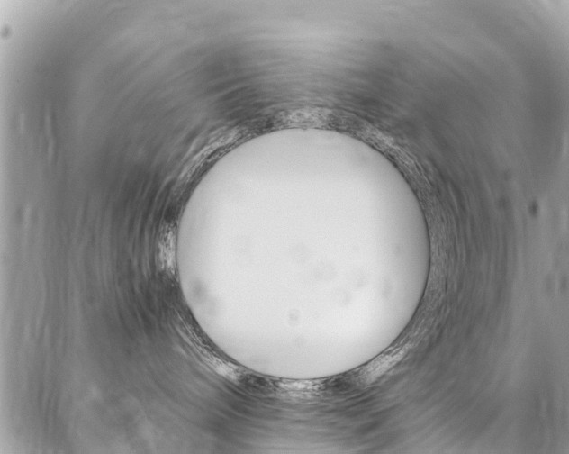 X0000086890240200704161014