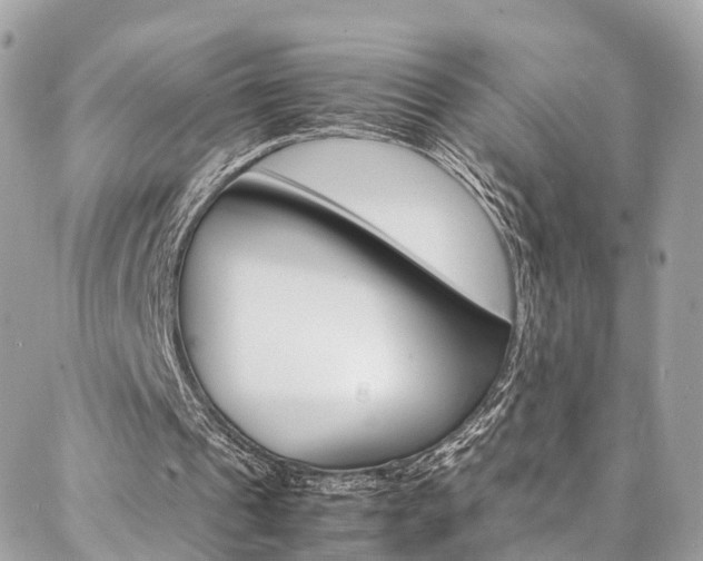 X0000086890241200704161013