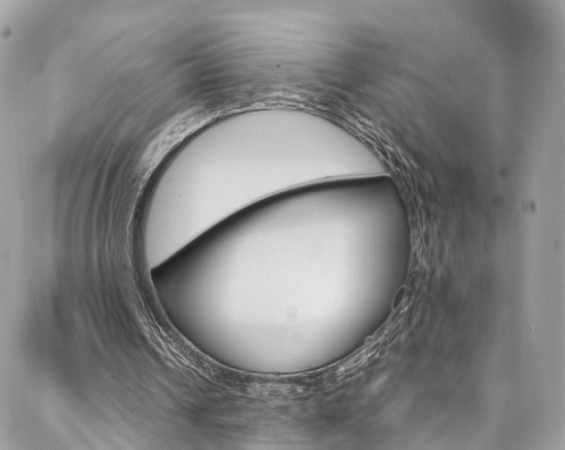 X0000086890242200704161013