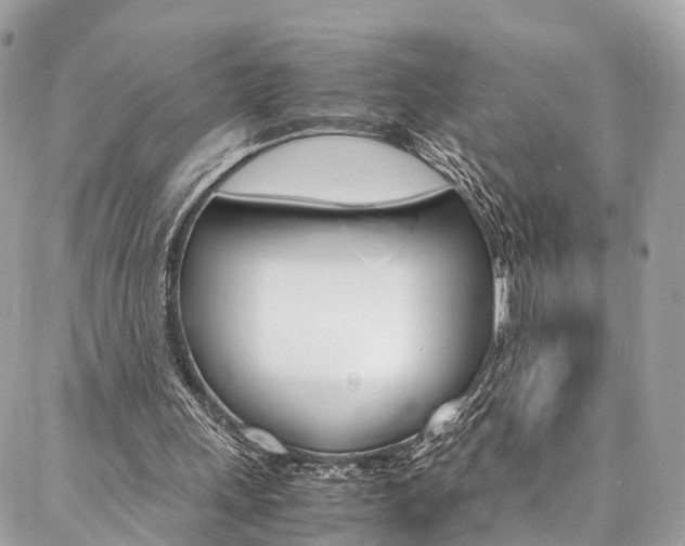 X0000086890243200704161013