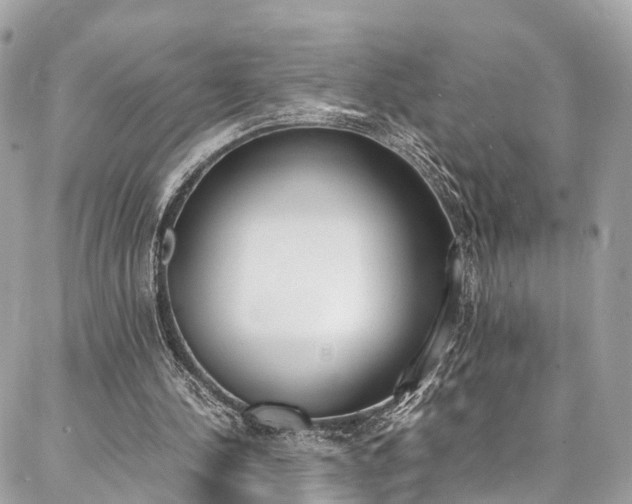 X0000086890244200704161013