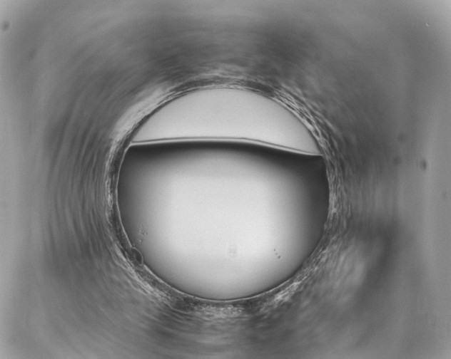 X0000086890245200704161013