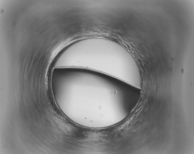 X0000086890246200704161013