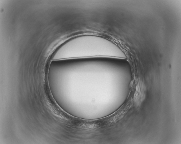 X0000086890247200704161013