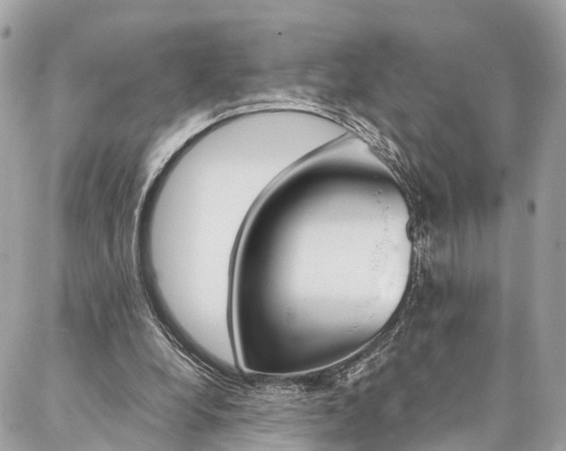 X0000086890248200704161013