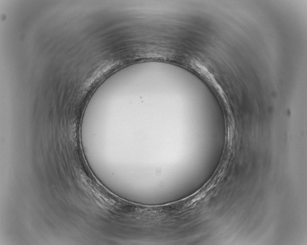 X0000086890249200704161013