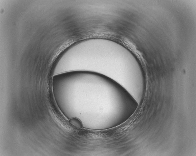 X0000086890250200704161013