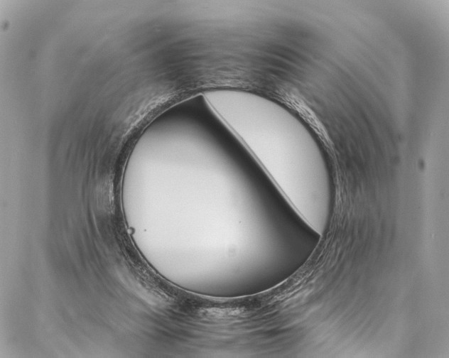 X0000086890251200704161013