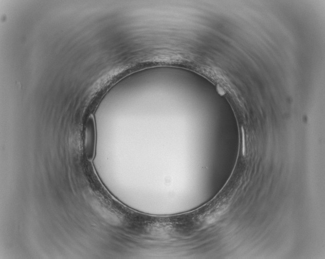 X0000086890252200704161013