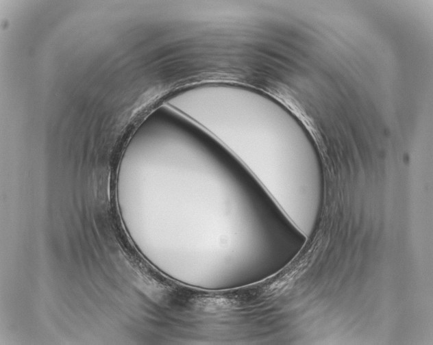 X0000086890253200704161013