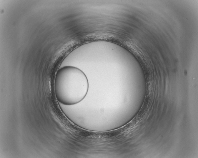 X0000086890254200704161013