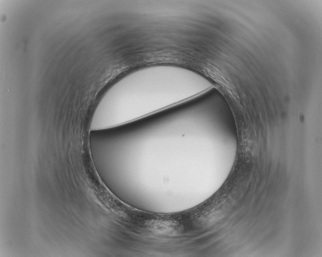 X0000086890255200704161013