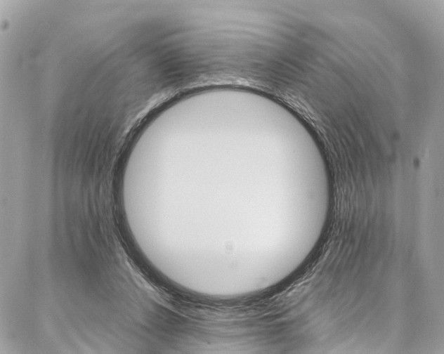 X0000086890256200704161013