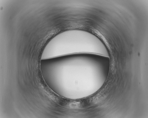 X0000086890257200704161013