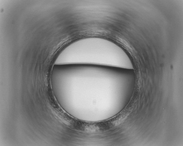 X0000086890258200704161013