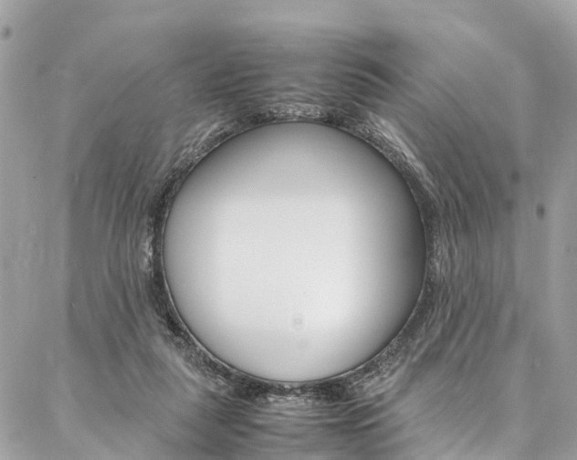 X0000086890259200704161013