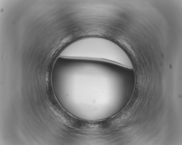 X0000086890260200704161013