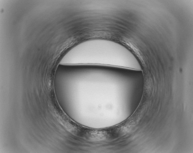 X0000086890261200704161013