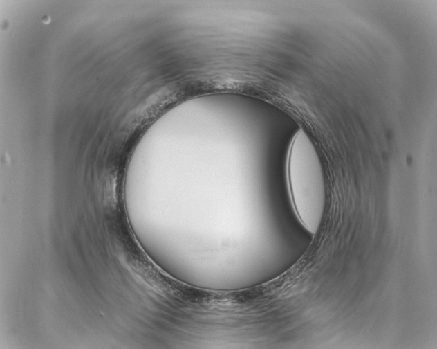 X0000086890262200704161013