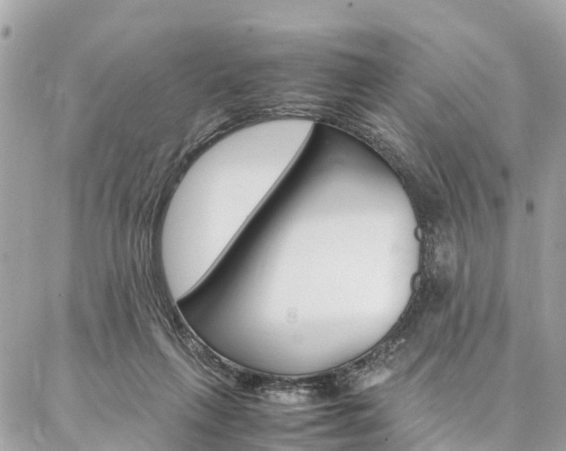 X0000086890263200704161013